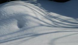 snowdirft