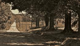 Sepia: Quaker Road, Norwich, Ontario