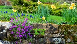 English garden