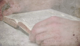 open Bible