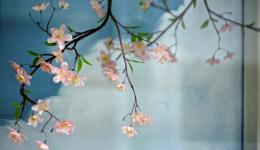 pink flowers