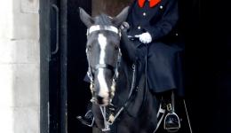 Mounted Guard, London, England