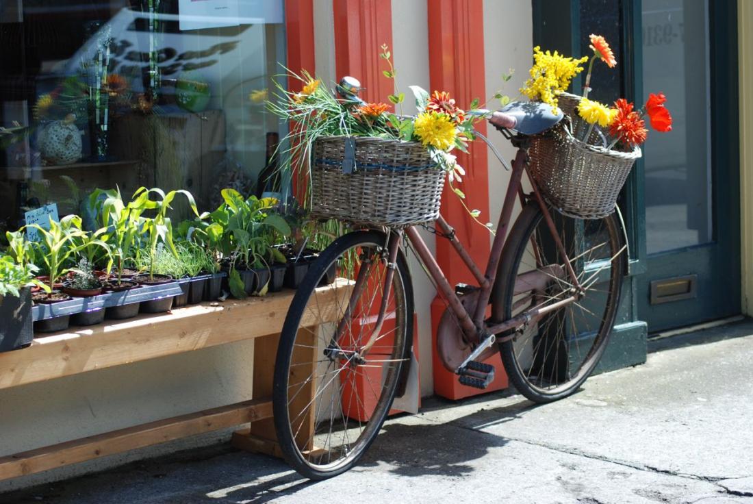 Bicycle With Flowers Near Shop, Ireland bike with flower against shop