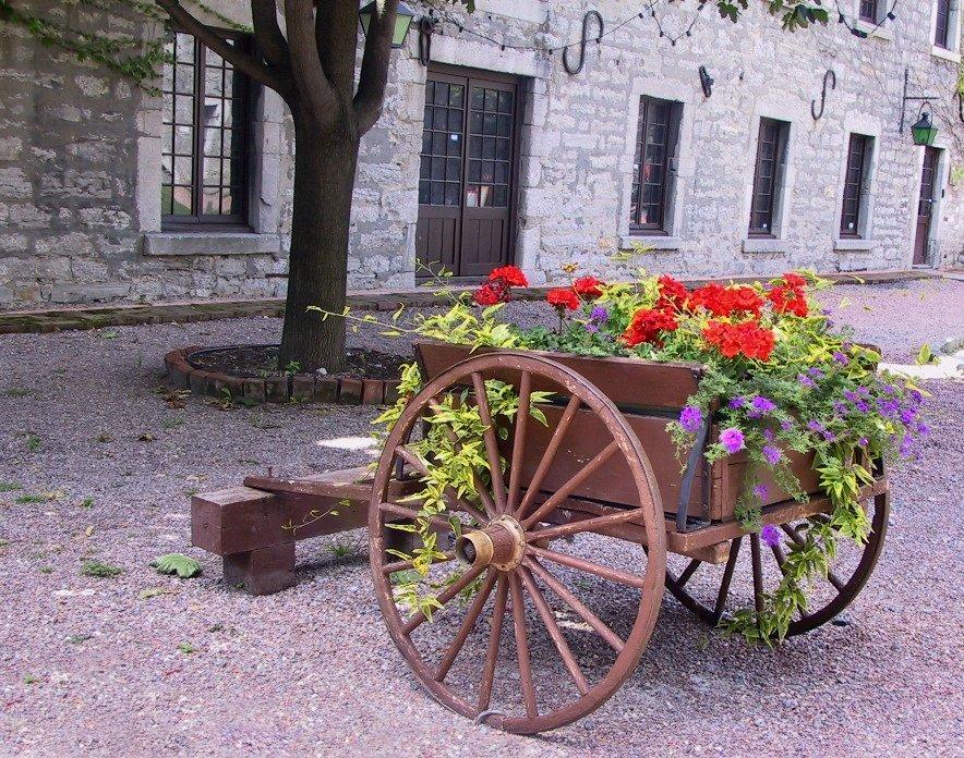 ox cart ox cart